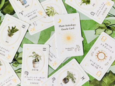 20241116_004059338_iOS