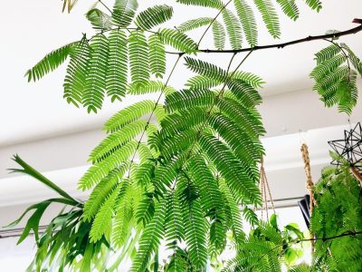 EB5A0C18-B107-439E-9638-6D668936E25D